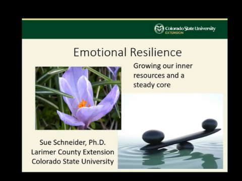 Screenshot from Emotional Resilience Video