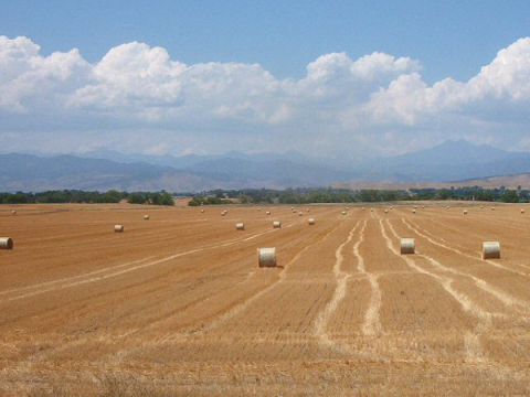 Landbouwgrond