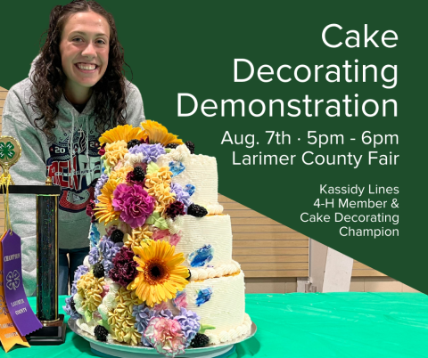 Cake Decorating Demonstration