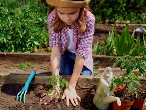 A pre-teen planting in a garden box