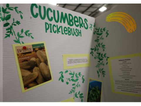 Een posterbord over komkommers op de Larimer County Fair