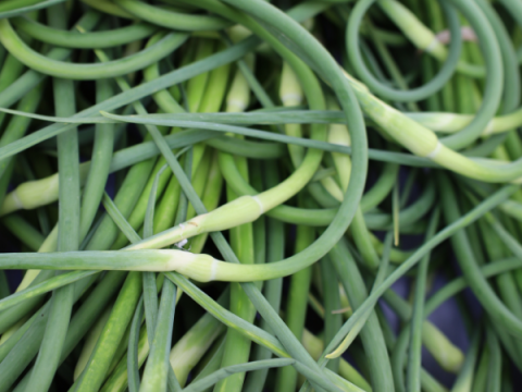Garlic Scapes at the Farmers' Market