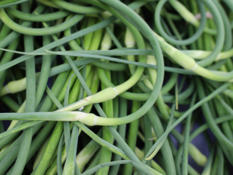 Aglio Scapes al mercato degli agricoltori