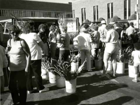 Una foto in bianco e nero del mercato degli agricoltori della contea di Larimer