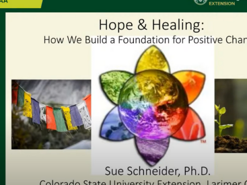 Screenshot from Hope & Healing Video