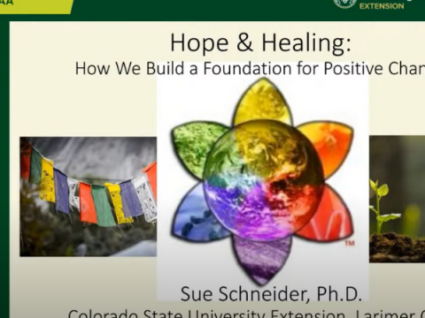 Screenshot dal video Hope & Healing