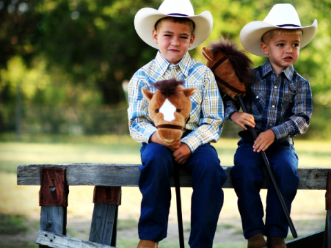 बाड़ पर बैठे दो बच्चे अपने छड़ी के घोड़ों को पकड़ते हैं।