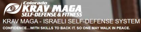 KRAV MAGA Defesa Pessoal e Fitness