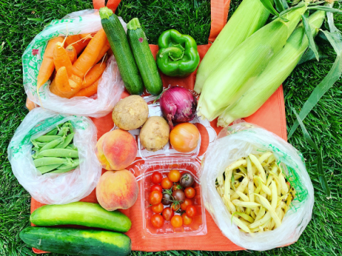 A flat lay of produce to be delivered