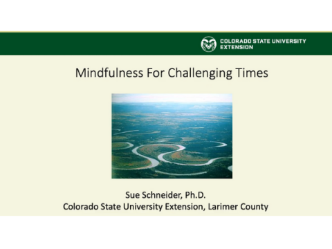 Screenshot from video: Mindfulness for Challenging Times