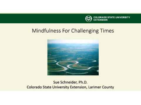 Screenshot dal video: Mindfulness per tempi difficili