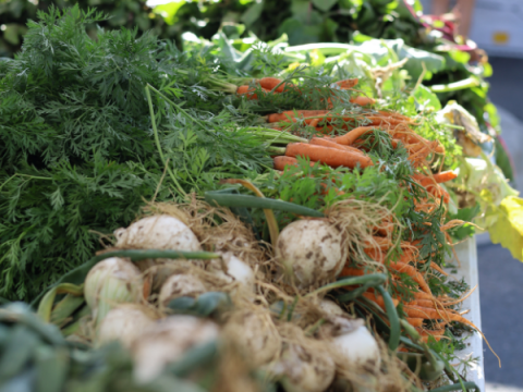 Divers produire prêt à vendre au marché des fermiers