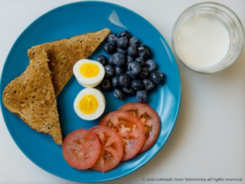 Toast, a boiled egg, tomato slices, and blueberries sit on a plate. Next to the plate is a glass of milk.