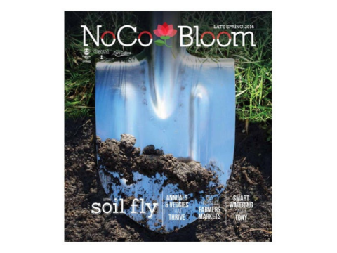 Utgåva Cover för NoCo Bloom