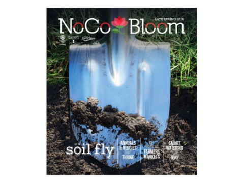 Copertina del numero per NoCo Bloom