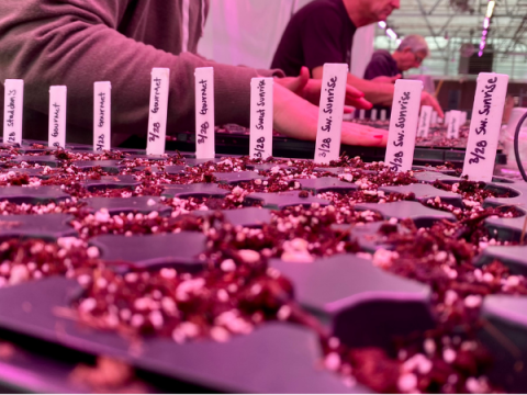 Other Resources Seed starting planters, filled with soil and labeled.