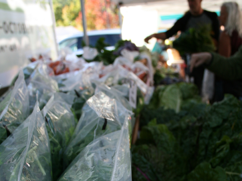 Fresh lettuce in produce bags - people stand in the background picking their produce