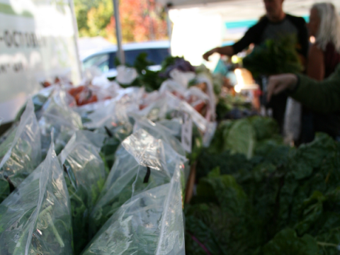 Свіжий салат у мішках із продуктами — люди стоять на задньому плані й збирають продукти