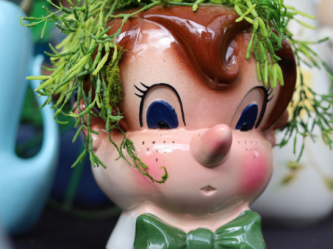 A cookie jar with the face of a boy. A plant has been planted in the jar to make it appear that the plant is the boy's hair.