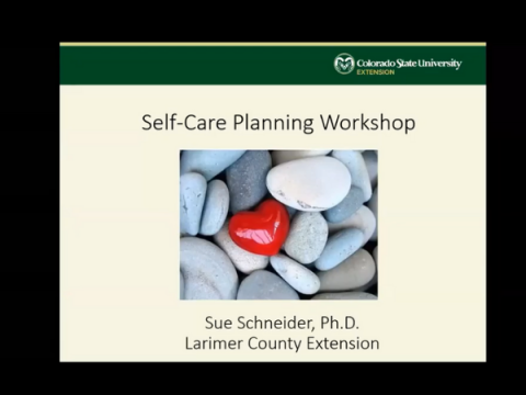 Screenshot from Self Care Planning Workshop Video