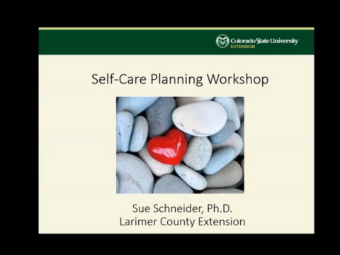 Self Care Planning Workshop Screenshot from Self Care Planning Workshop Video