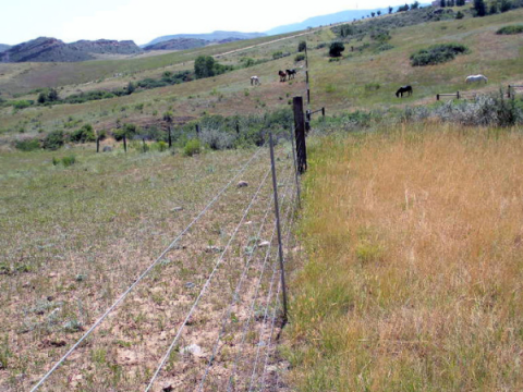 A fence in the foothills