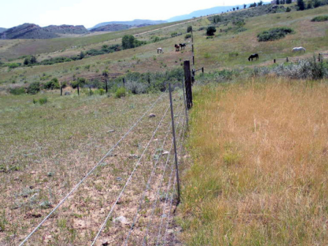 Una recinzione ai piedi delle colline