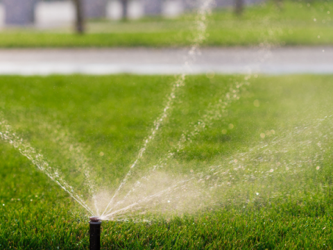 Sprinklers water a lawn