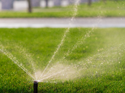 Gli irrigatori innaffiano un prato