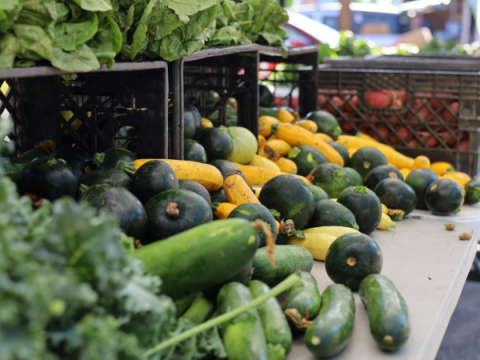 Squash and other produce at a stand at the Larimer County Farmers' Market