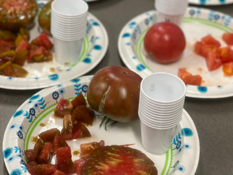 Cut tomatoes sit on plates with small cups. 