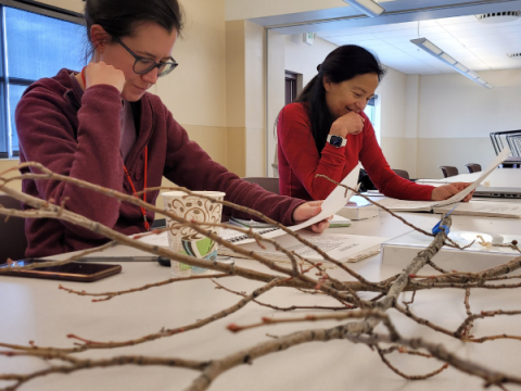 Two adults sit at a table with a tree branch in front of them. 