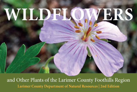 LCDNR Wildflower Guide Cover 2nd Edition LCDNR Wildflower Guide Cover 2nd Edition