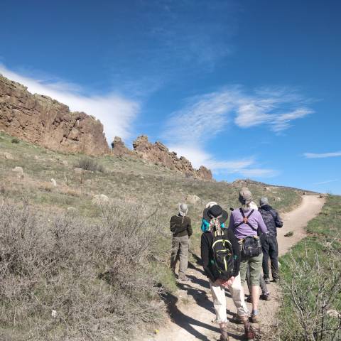 Group of adults on trail at looking at geological feature.