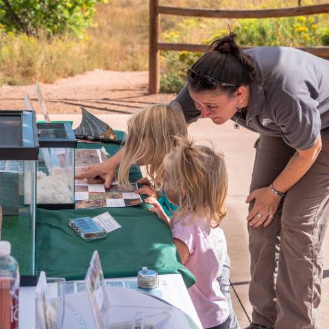 水族館で子供の爬虫類を示す教育テーブルに寄りかかっているボランティア。