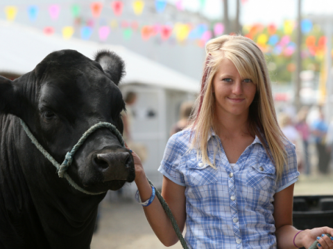 A teenager shows her market animal at the fair