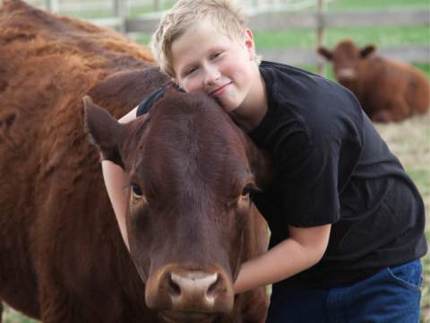 Ein Teenager umarmt seine Kuh.