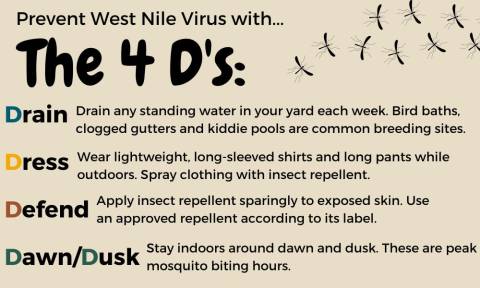 The 4 D's of West Nile Virus Prevention: Drain, Dress, Defend, and Dawn/Dusk