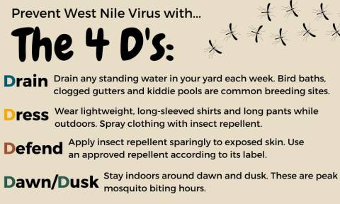 The 4 D's of West Nile Virus Prevention The 4 D's of West Nile Virus Prevention: Drain, Dress, Defend, and Dawn/Dusk