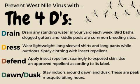 Las 4 D de la prevención del virus del Nilo Occidental: drenaje, vestimenta, defensa y amanecer/anochecer