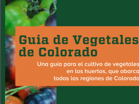 Skärmdump av PDF - Guide till grönsaker