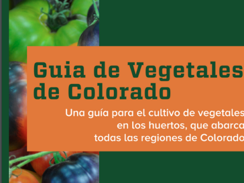 Captura de pantalla de PDF - Guía de Verduras