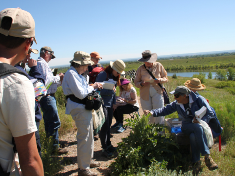 Native Plant Masters A group of native plant masters in a Natural Area. They are learning to identify plants
