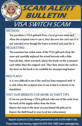 VISA Switch 诈骗警报