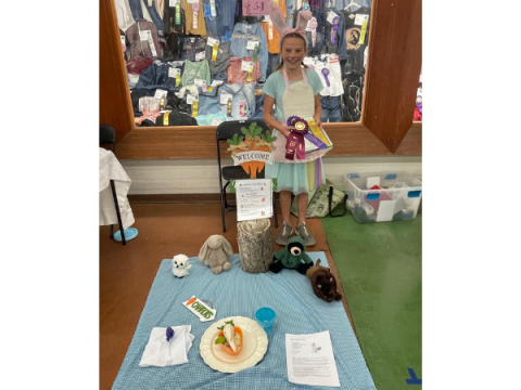 Ein Larimer County 4-H-Mitglied beim State Creative Cooks Competition. Ihr Display ist vor dem Publikum ausgebreitet und hat das Thema Hase/Karotte.