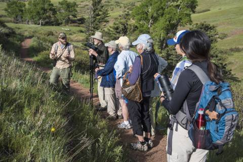 A group of people listen as a Naturalist talks while on the trail. 