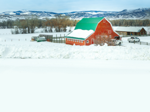 Barn Barn