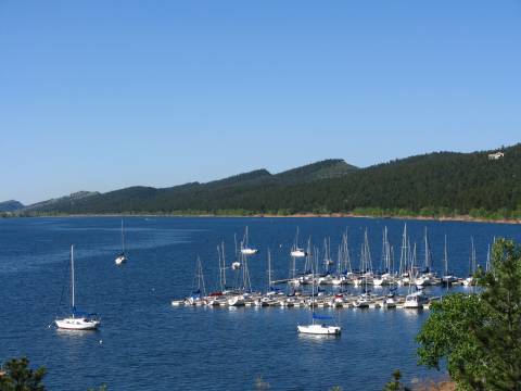 Dozens of boats are moored in calm water at Carter Bay Marina with western foothills in the background.