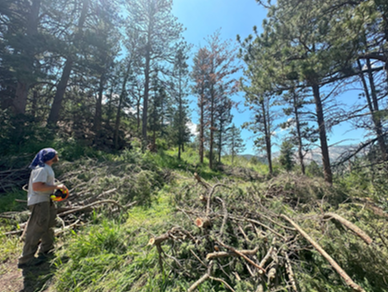 Pinewood Springs Fire Protection District Community Mitigation Initiative and Mitigation Demonstration Project Photo.