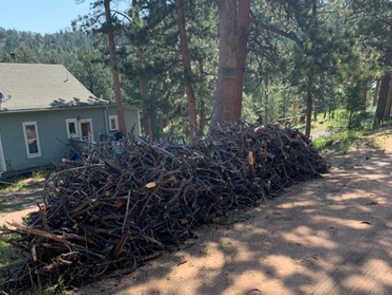 Red Feather Highlands Maintanence Association Slash Removal Project Photo. 